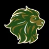 Lions Football